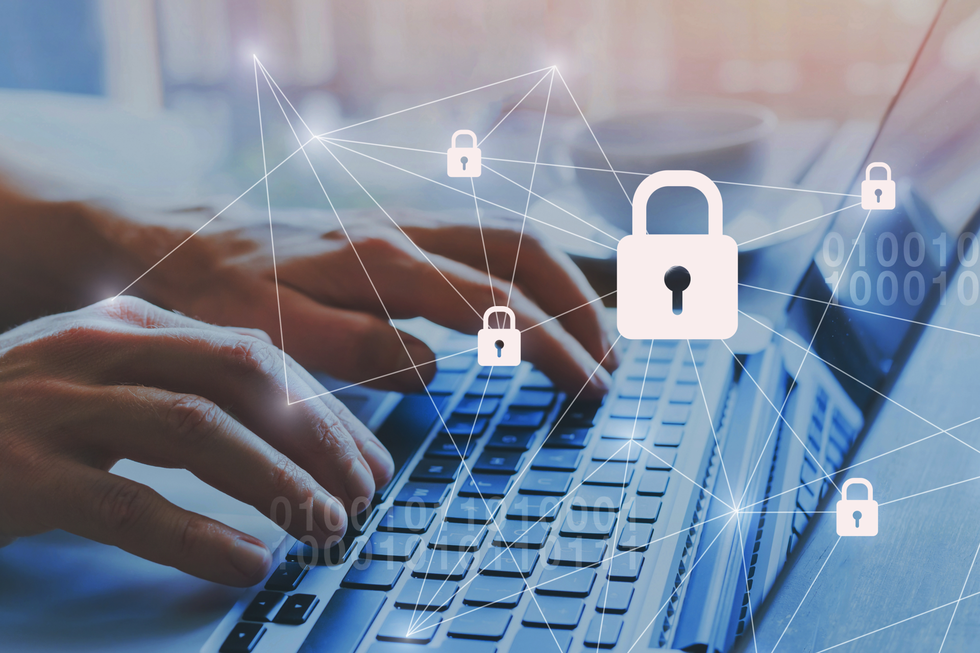 Protección de Datos Personales y Garantía de los Derechos Digitales